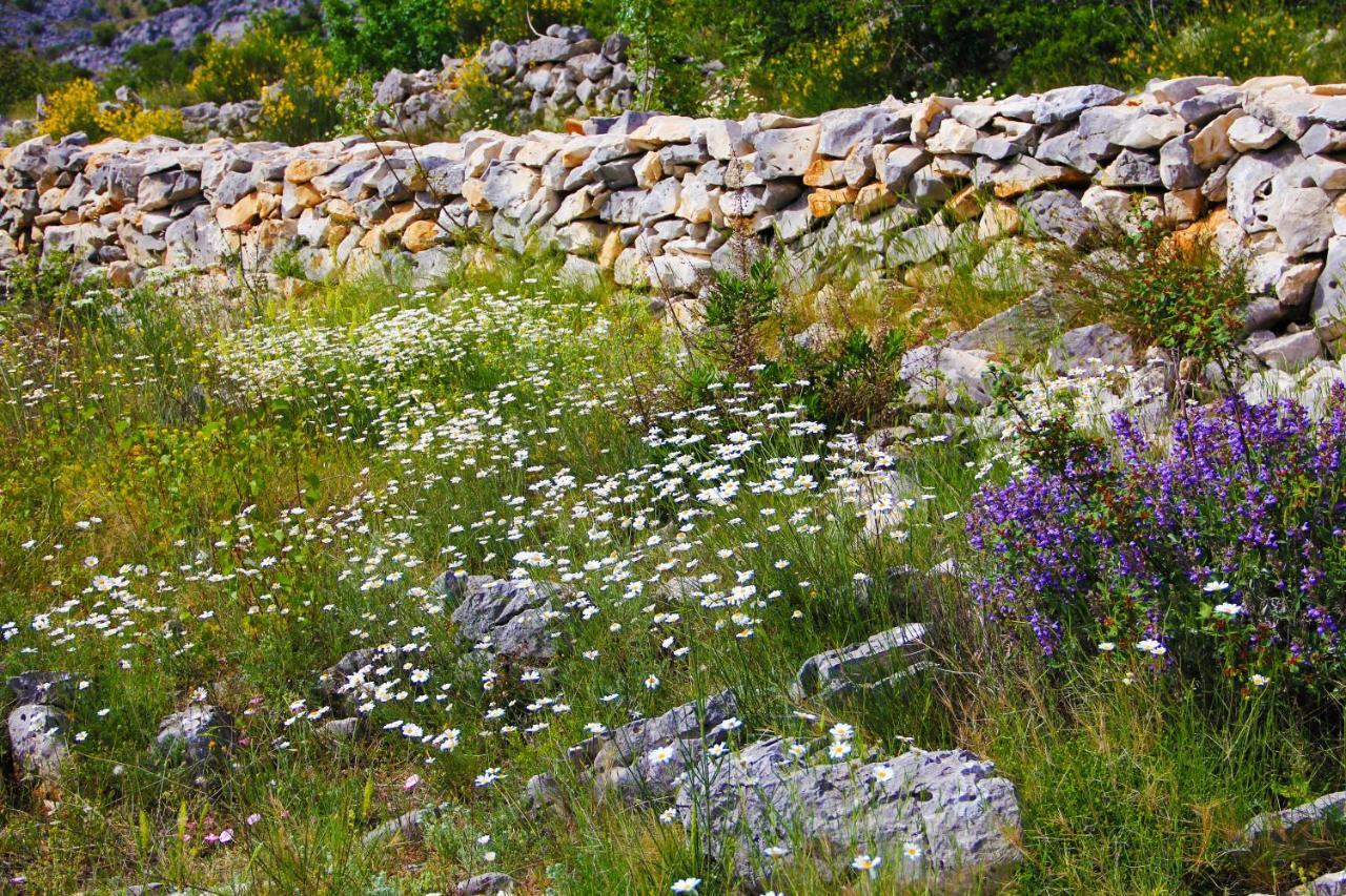 Villa Zlatno Sunce In The Hills Near Trogir Vrsine Ngoại thất bức ảnh
