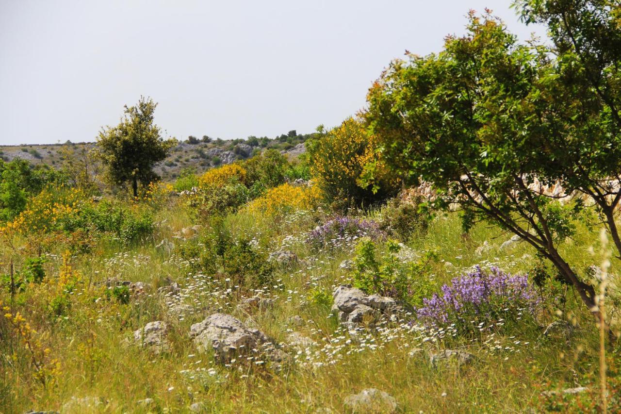 Villa Zlatno Sunce In The Hills Near Trogir Vrsine Ngoại thất bức ảnh