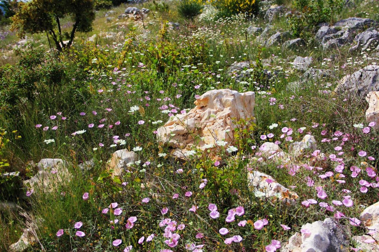 Villa Zlatno Sunce In The Hills Near Trogir Vrsine Ngoại thất bức ảnh